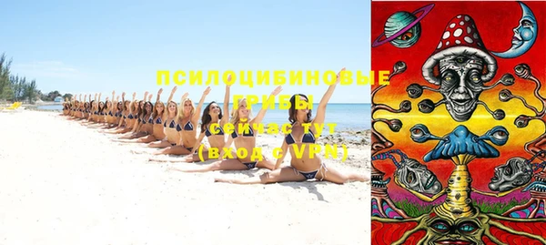 молекула духа Бугульма